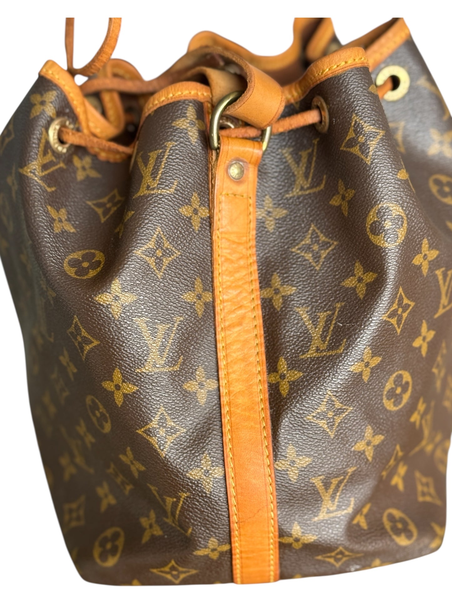 Sac Louis Vuitton Noé PM
