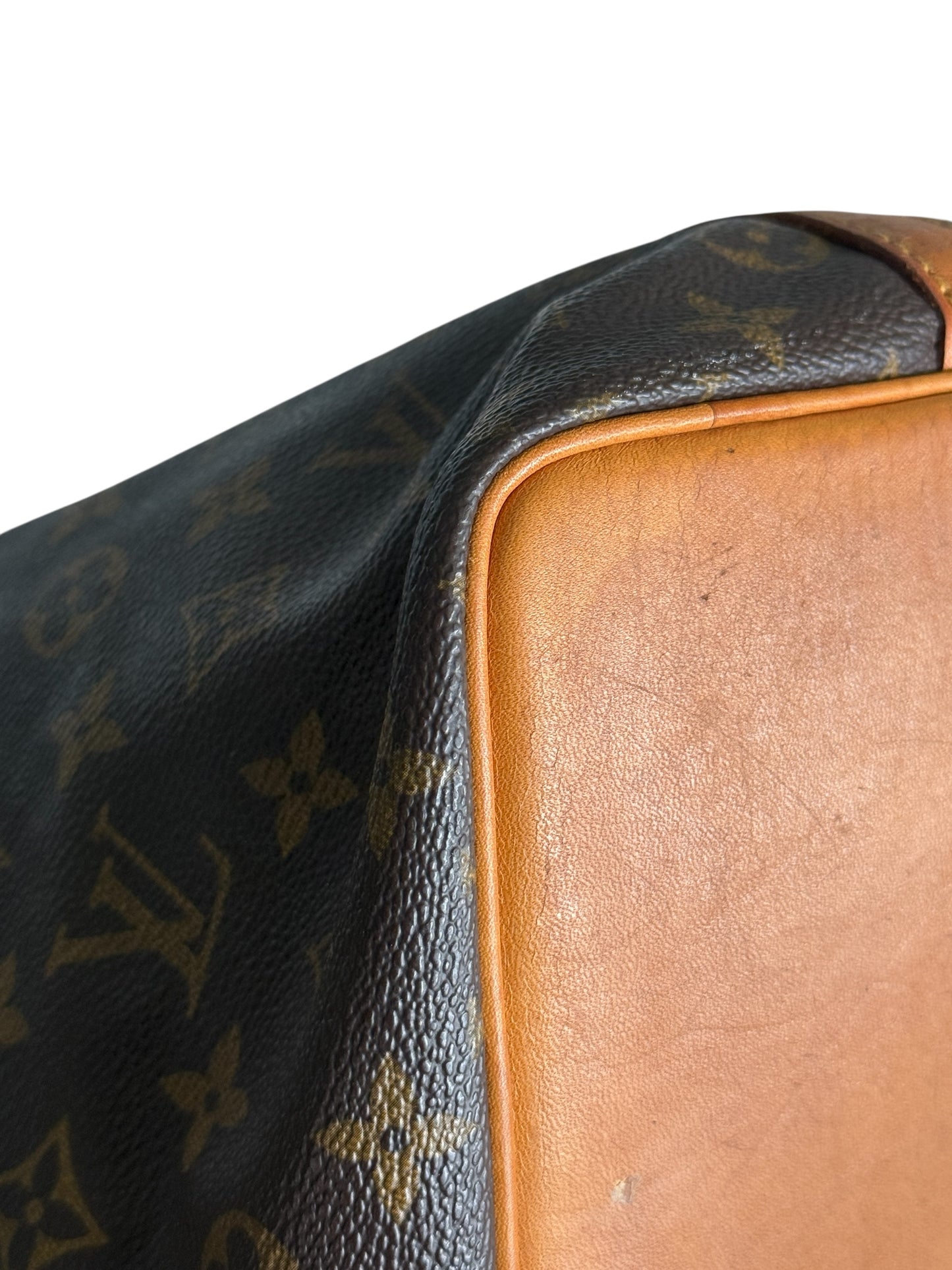 Sac Louis Vuitton Noé PM