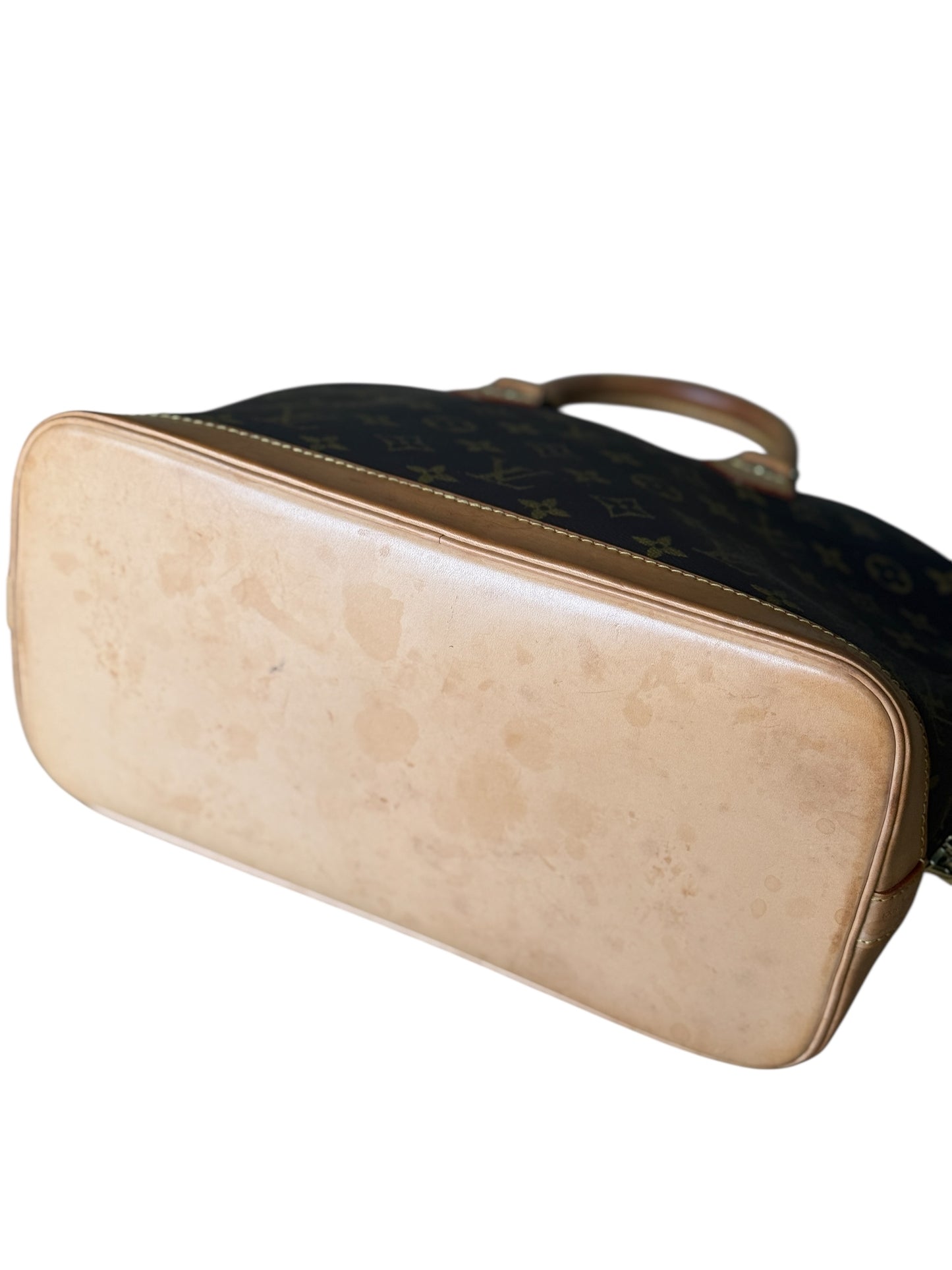 Sac Louis Vuitton Alma Pm