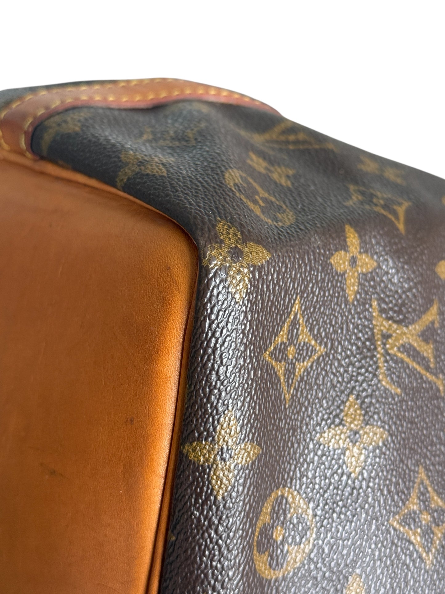 Sac Louis Vuitton Noé PM