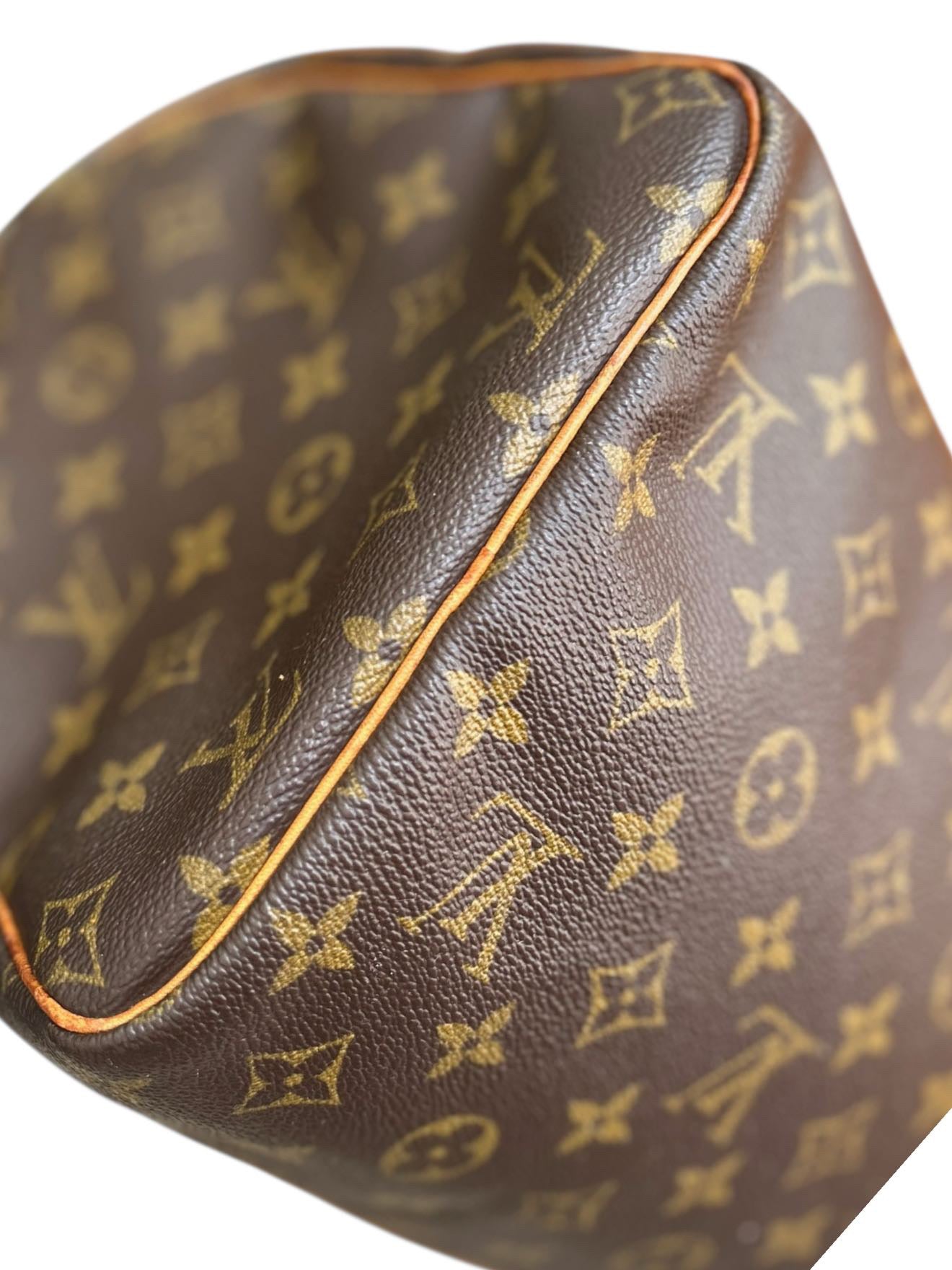 Sac Louis Vuitton Speedy 30