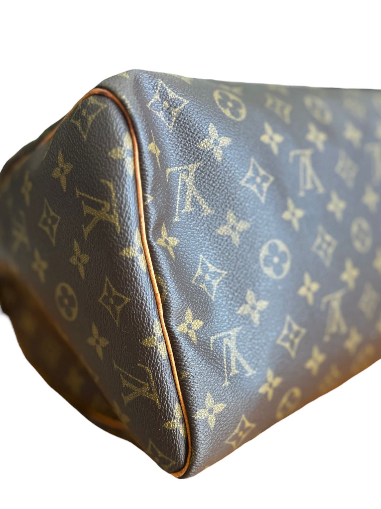 Sac Louis Vuitton Speedy 30