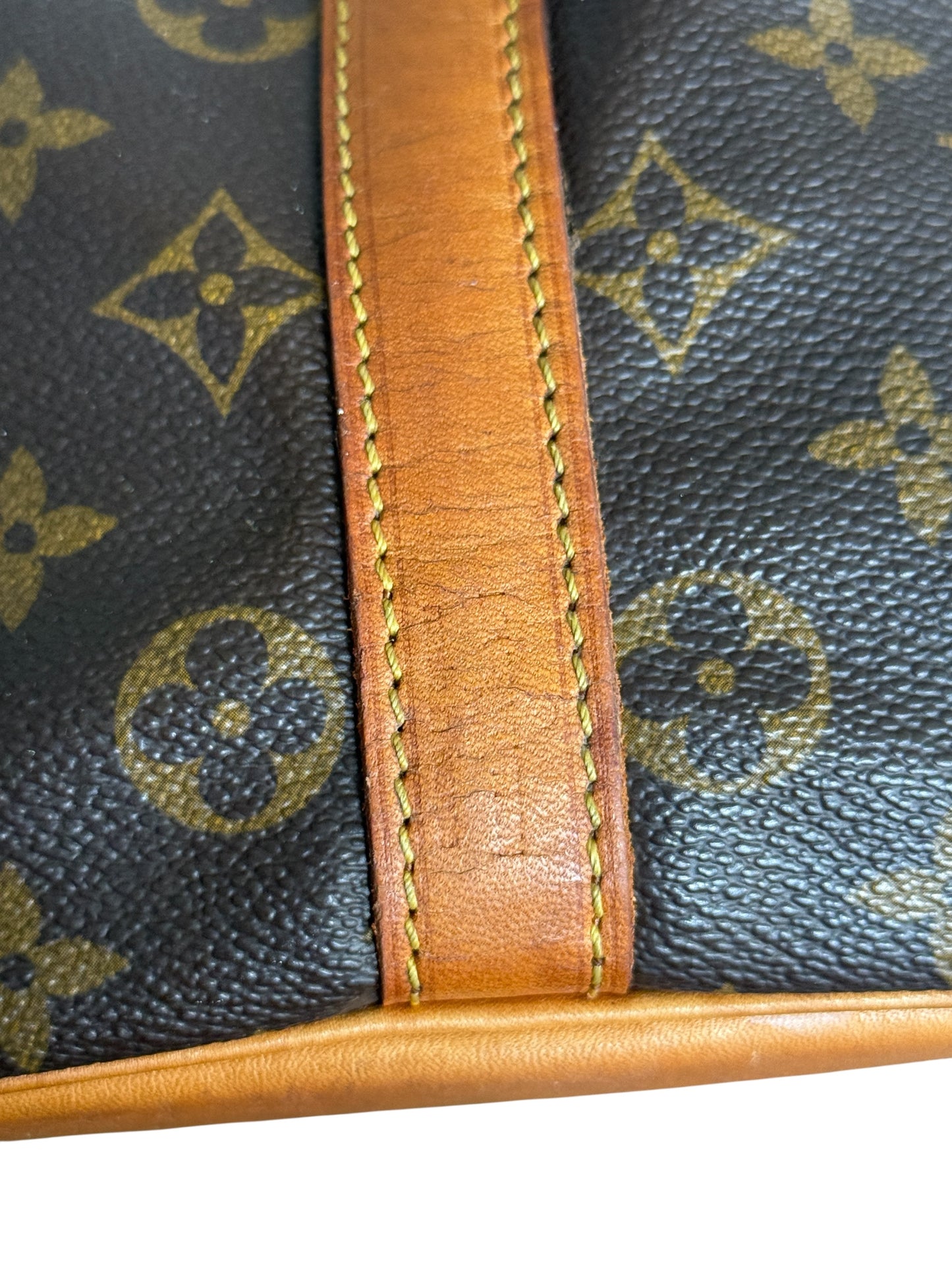 Sac Louis Vuitton Noé PM