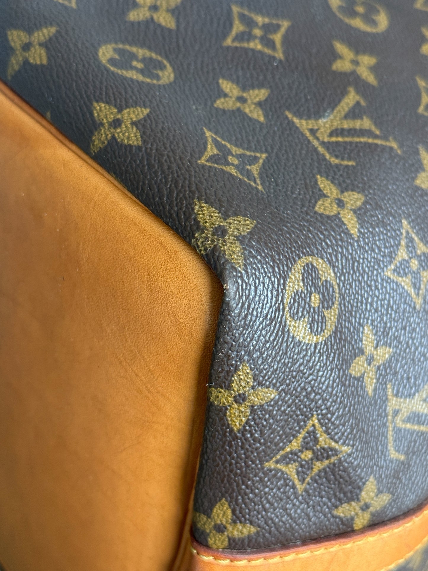 Sac Louis Vuitton Noé PM