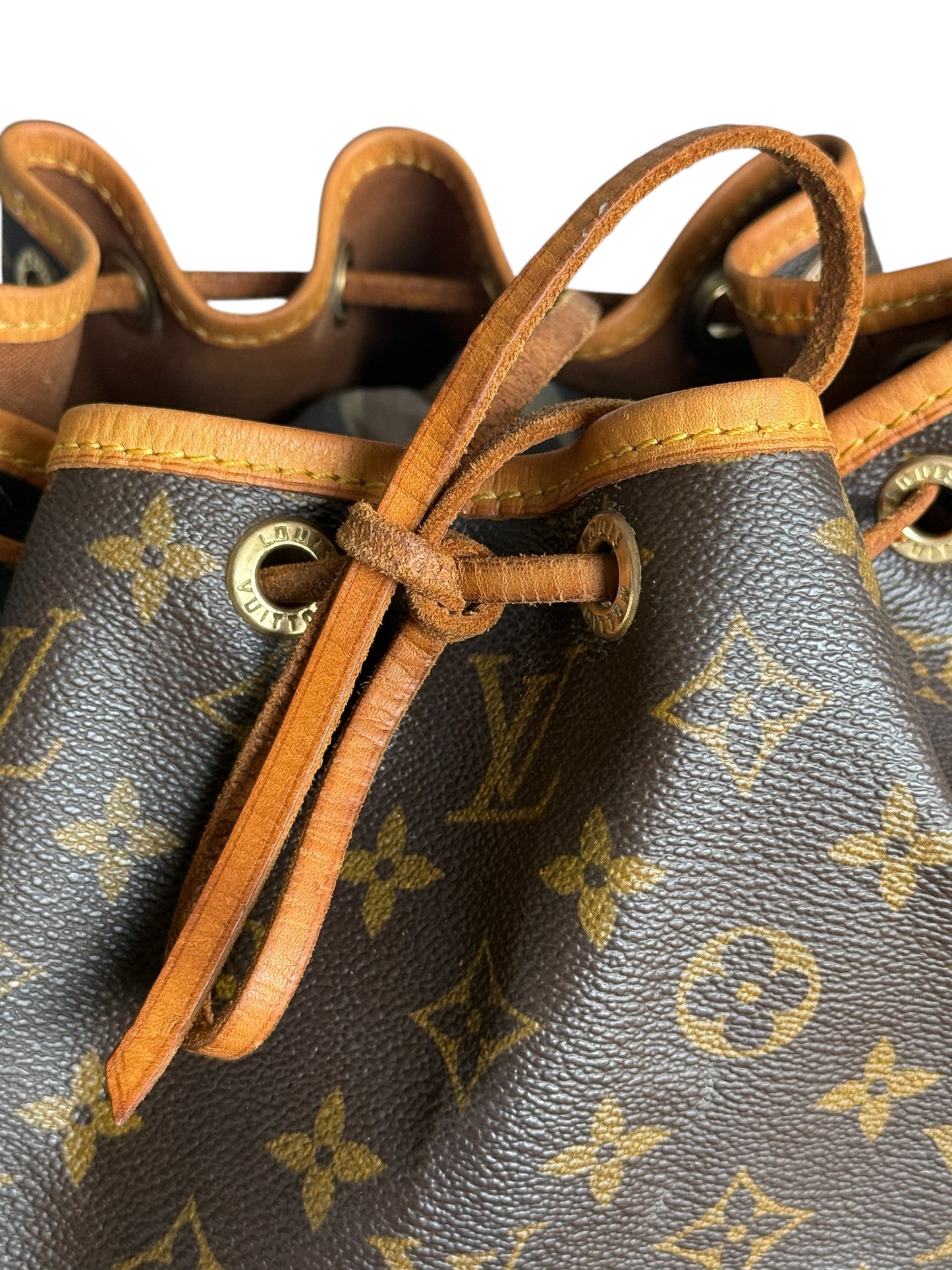 Sac Louis Vuitton Noé PM