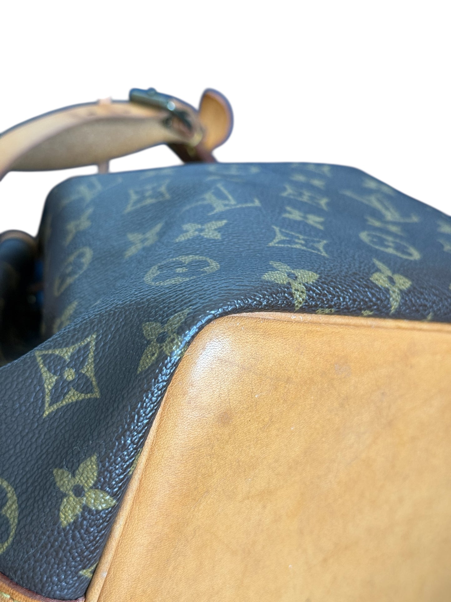 Sac Louis Vuitton Noé PM