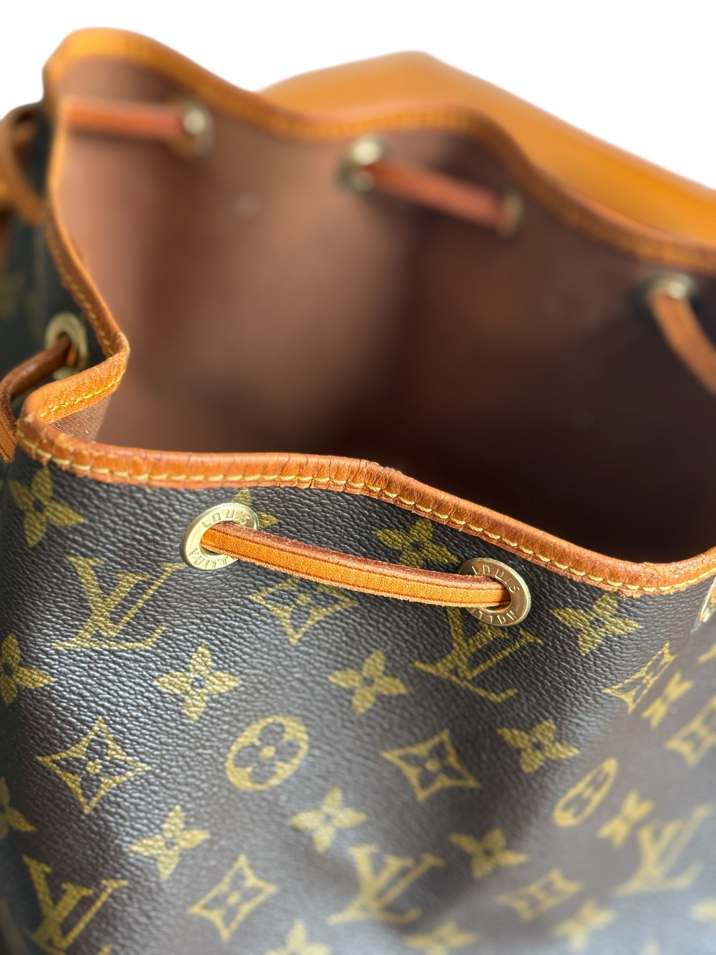 Sac Louis Vuitton Noé